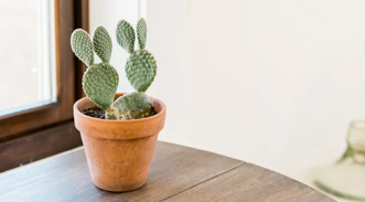 Approche centrée client